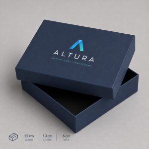 Cajas rigidas x 100 unidades